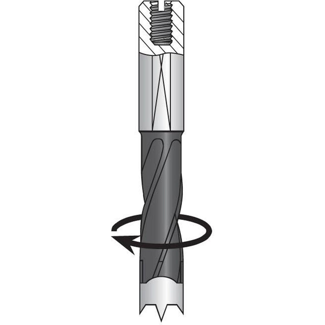 Dowel Drill, Carbide