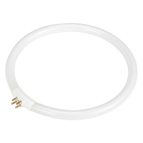 Replacement Fluorescent Bulb for Rhinomag Illuminated Magnifiers, 22 W