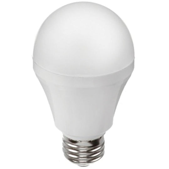 Bulbs