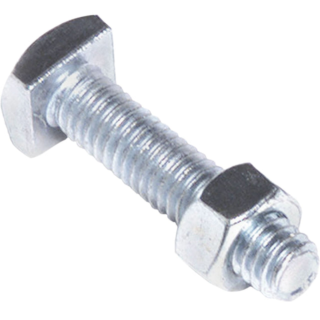 Square Head Bolt & Nut